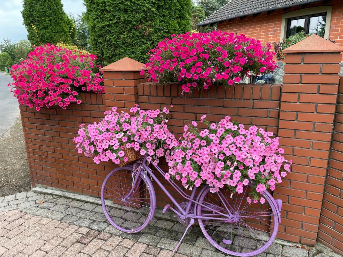 Hortus Apartament Z Klimatyzacja Boleslawiec  Exteriér fotografie