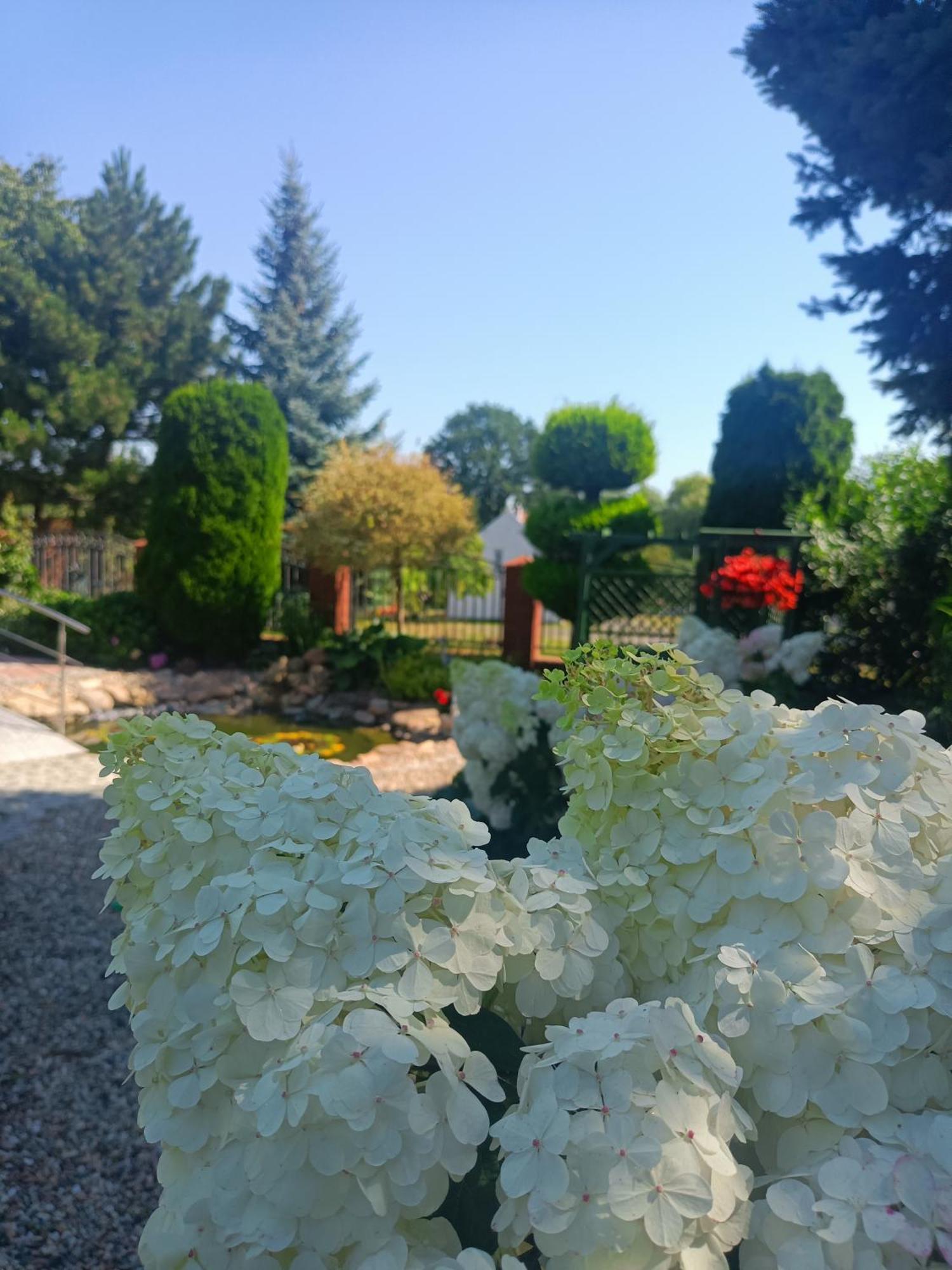 Hortus Apartament Z Klimatyzacja Boleslawiec  Exteriér fotografie