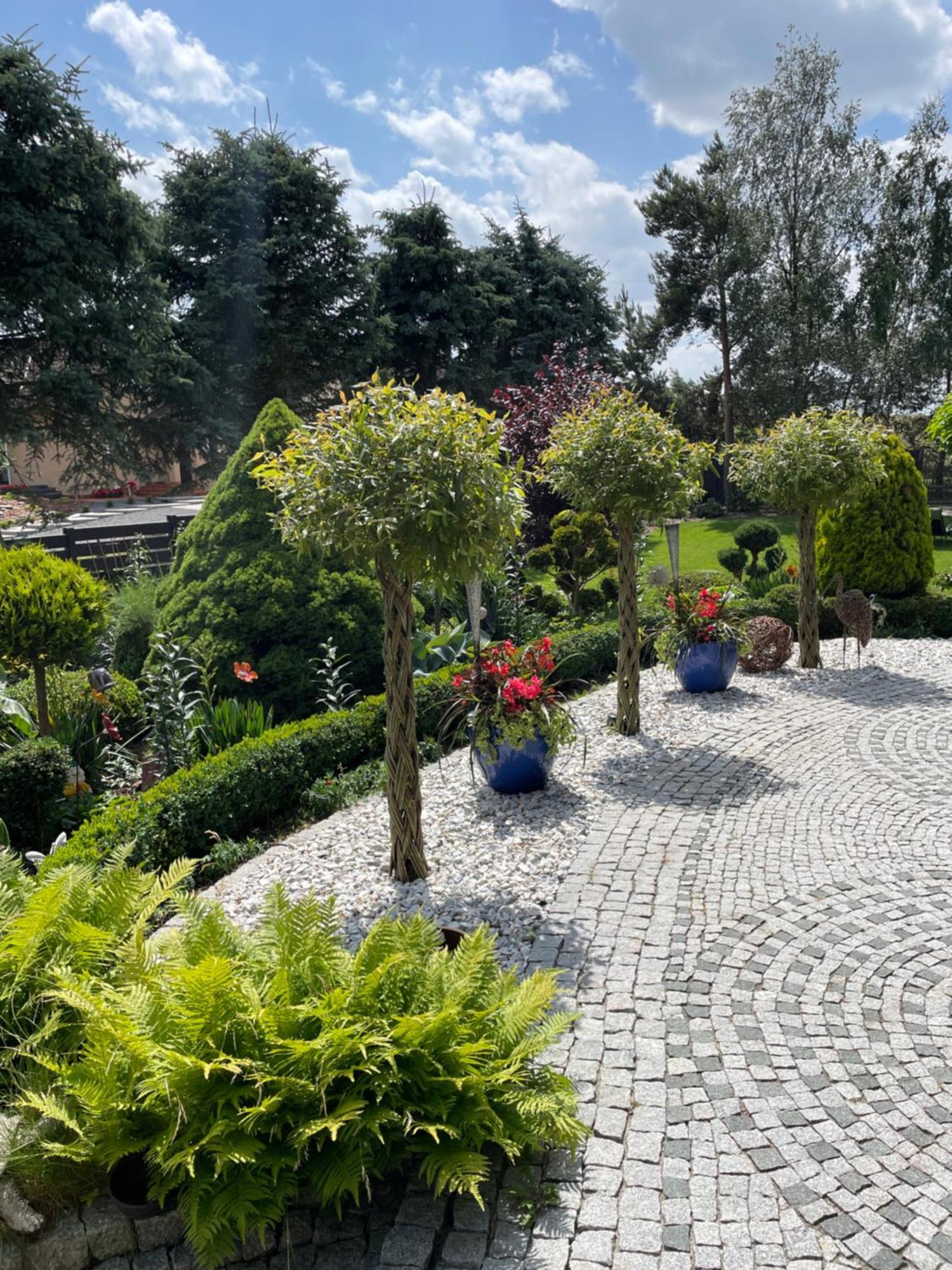 Hortus Apartament Z Klimatyzacja Boleslawiec  Exteriér fotografie