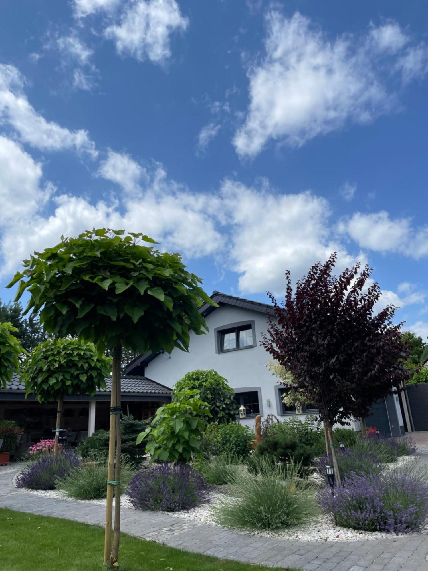Hortus Apartament Z Klimatyzacja Boleslawiec  Exteriér fotografie